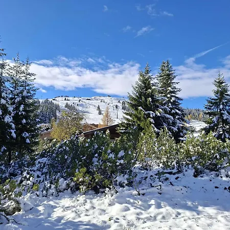 Falkenstein Dahoam *